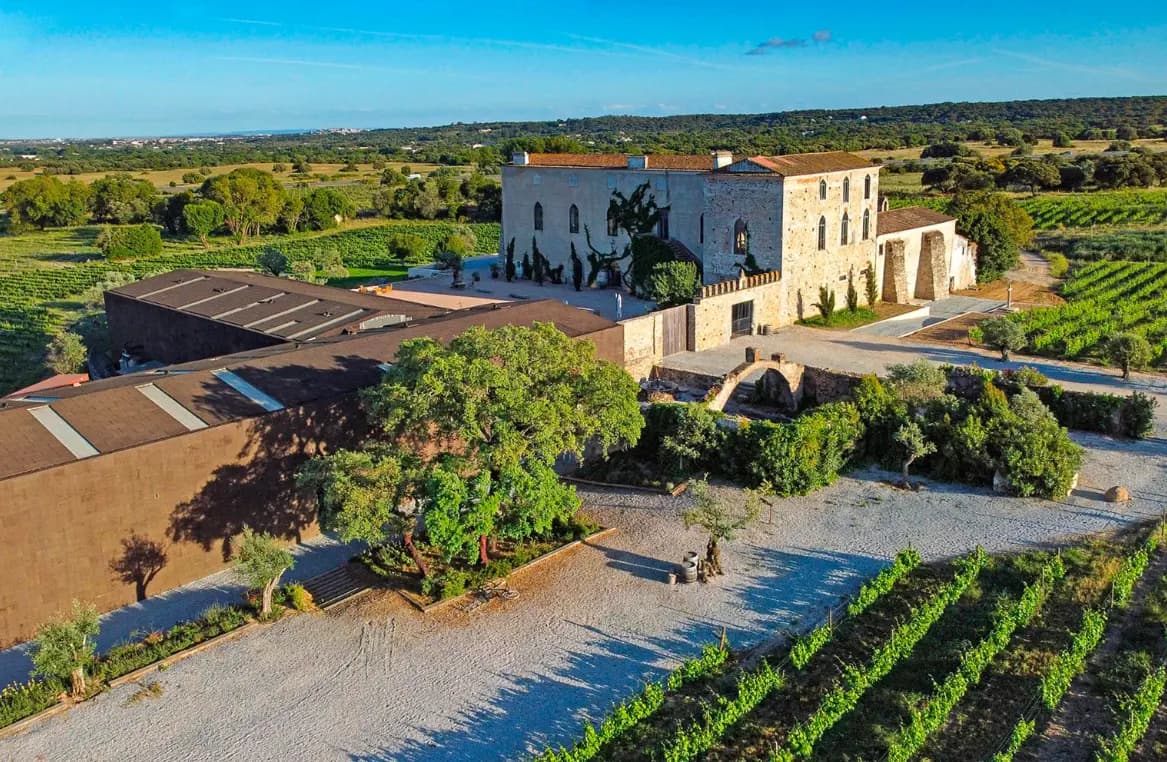 Aerial view of the historic Fita Preta estate surrounded by vineyards in the Alentejo