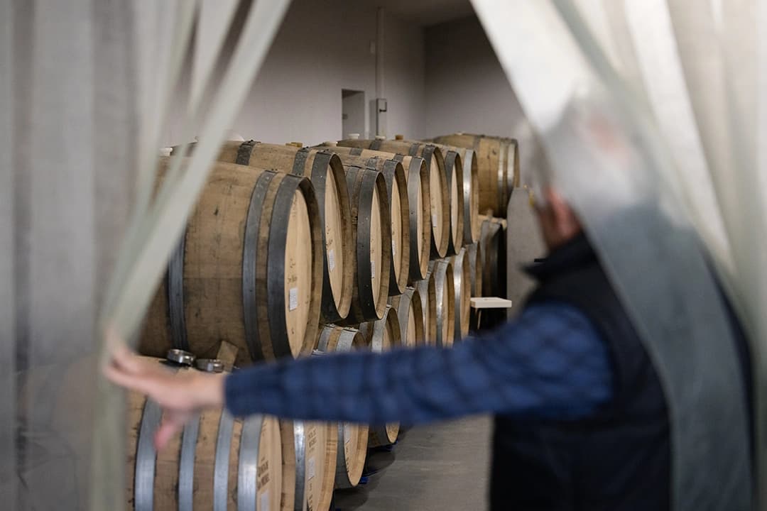 Wine barrels in the cellar at Quinta de San Michel
