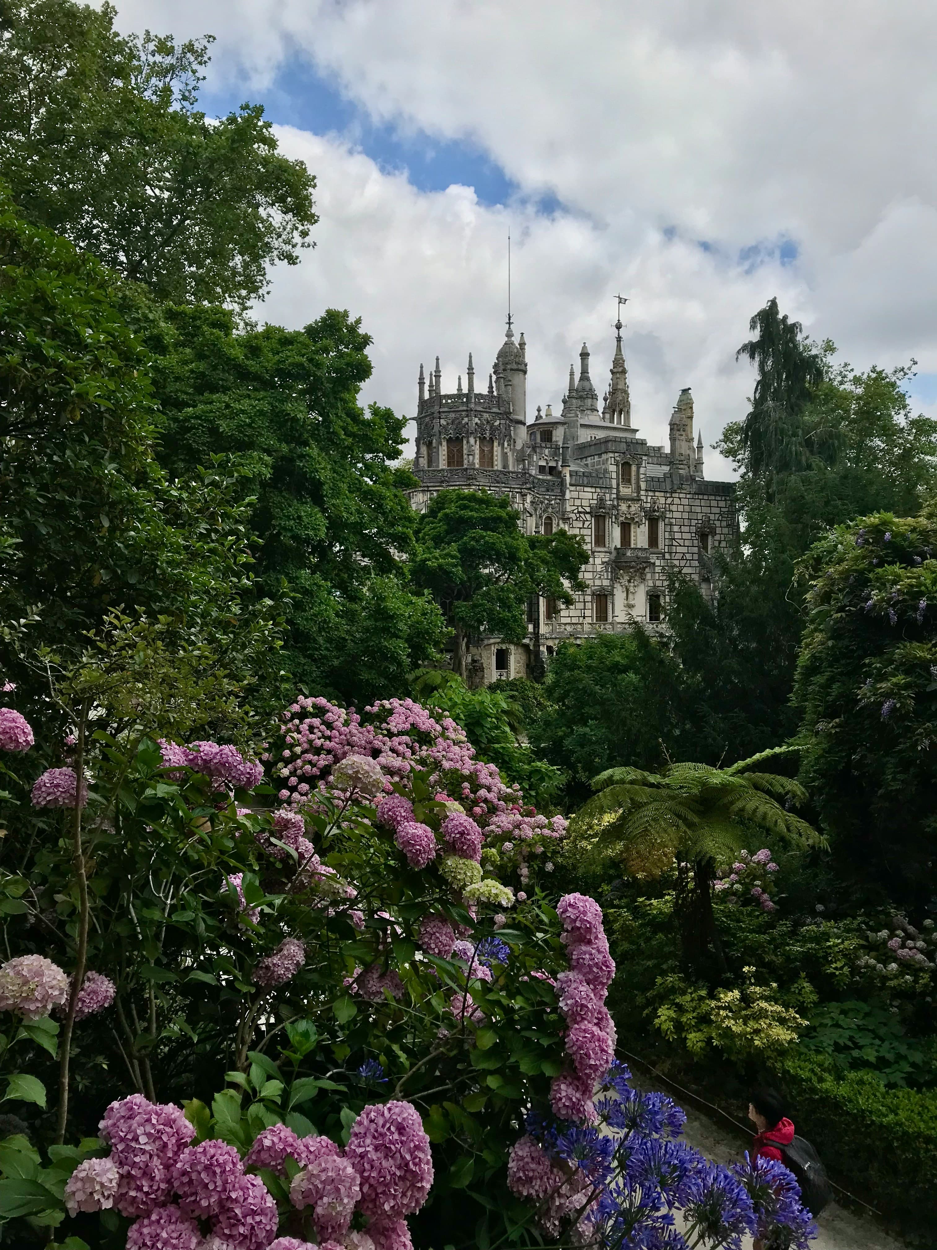 Quinta da Regaleira framed by lush gardens and hydrangeas