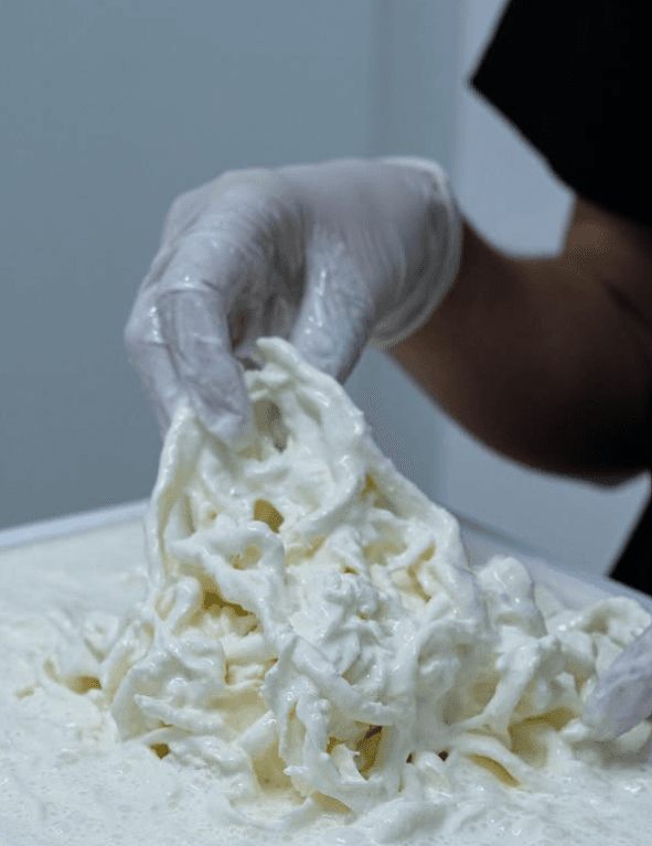 Fresh cheese being prepared by hand