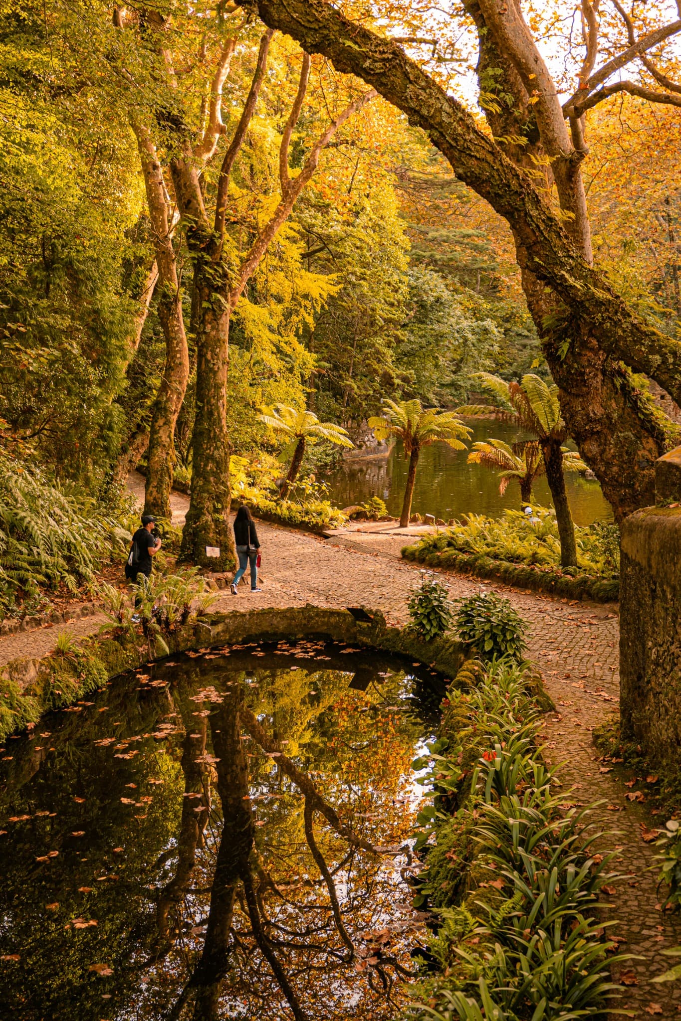 A stone bridge over a still lake surrounded by autumn ferns and trees at Quinta da Regaleira