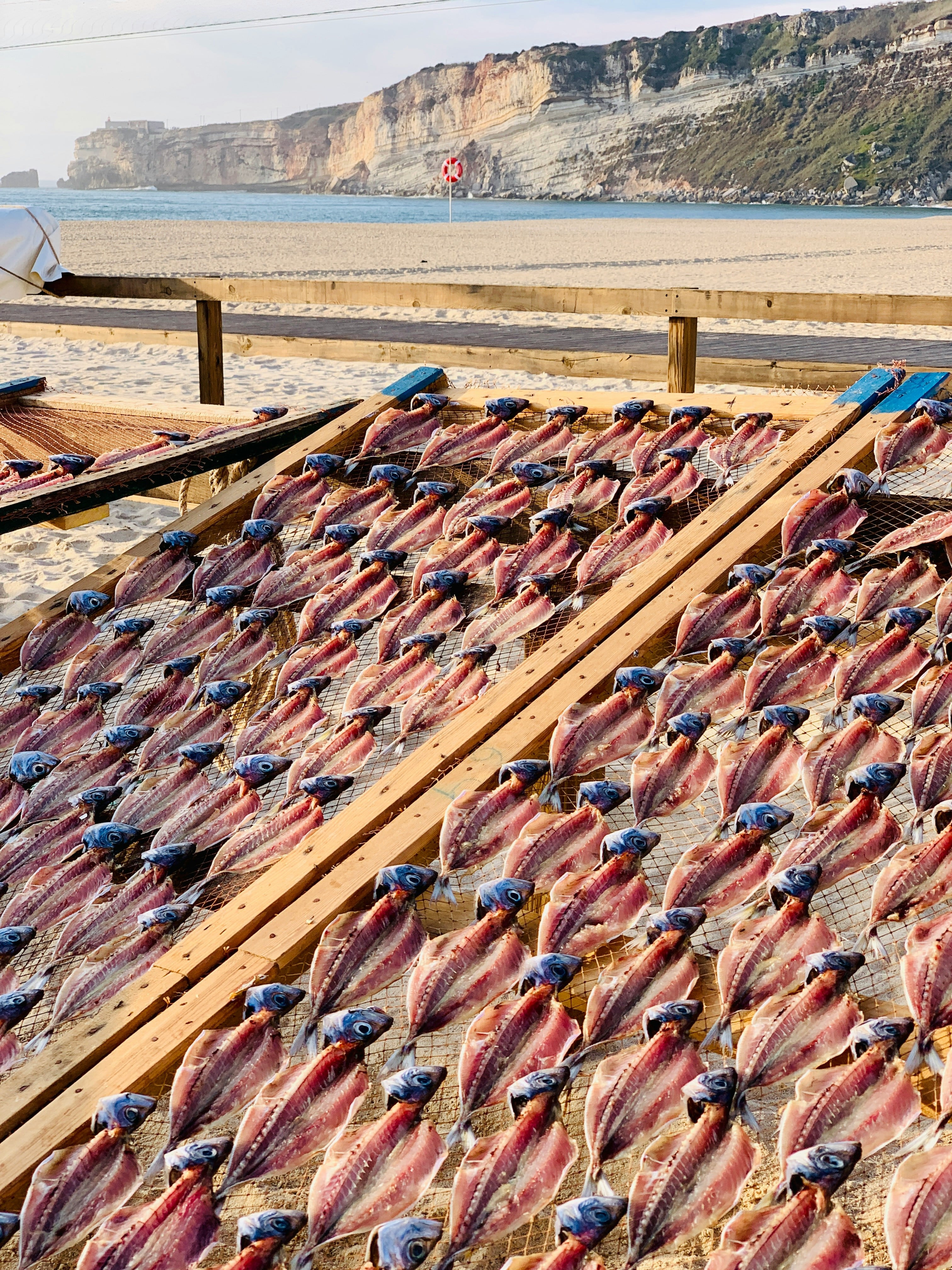Traditional fish drying on racks beside Nazaré beach