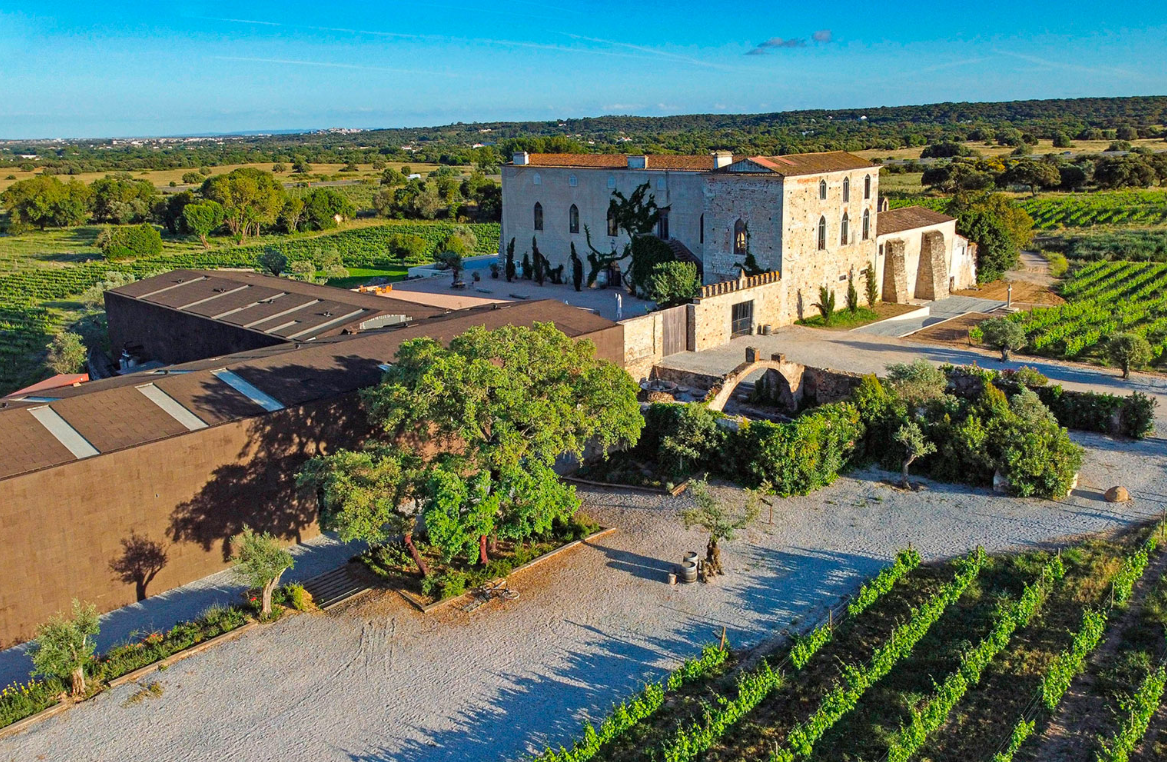 A day in the countryside: Évora and the Alentejo wine region